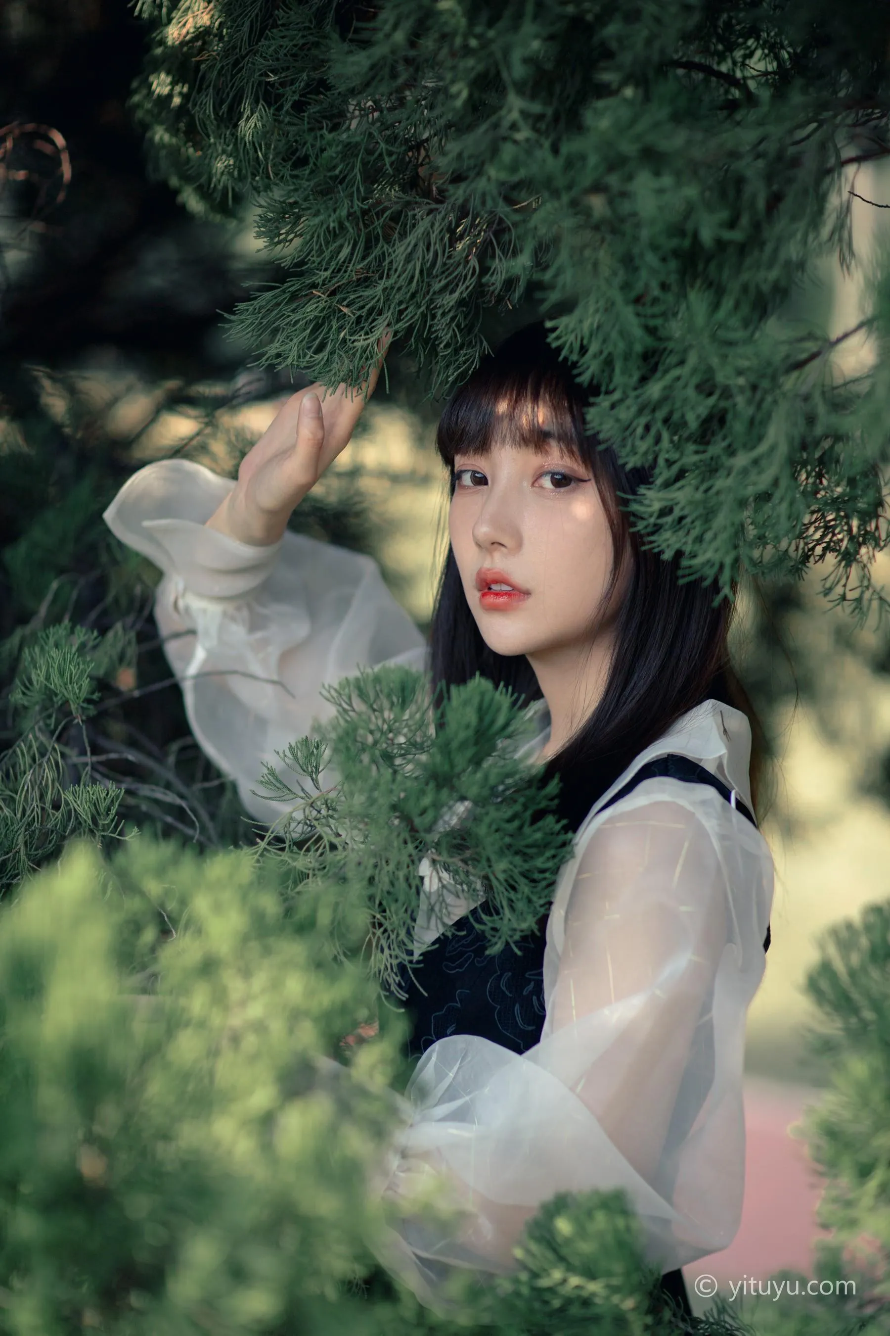 [YITUYU艺图语]2021.03.24 黑玫瑰 星星 [35P]插图6